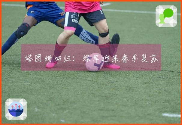 塔图姆回归：绿军迎来春季复苏