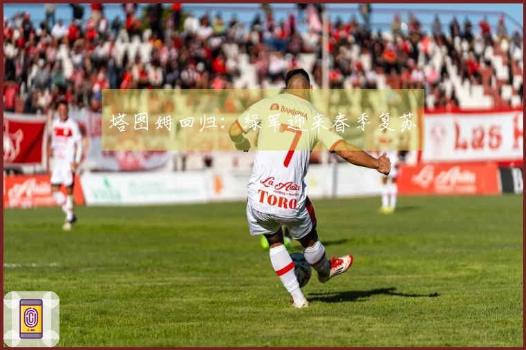 塔图姆回归：绿军迎来春季复苏